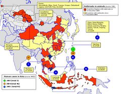 Avian influenza spread map