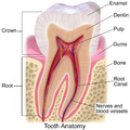 Tooth enamel