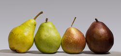 Pear