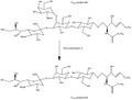 Gangs Mechanism