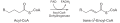 Beta-Oxidation1