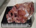 Gold in Pyrite Drainage acid