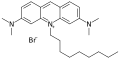 Nonyl Acridine Orange