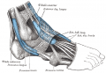 Thumbnail for version as of 05:28, 24 February 2021