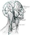 Grays Anatomy Of HumanBody