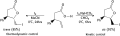 Iodolactonization