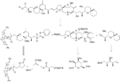 Ley's Synthesis of Okadaic Acid