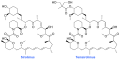 MTOR_inhibitors