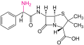 Ampicillin with amine group highlighted