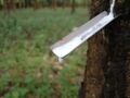 Natural rubber