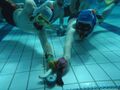 Freediving