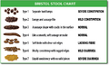 Bristol Stool Chart