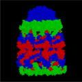 GroES-GroEL Complex