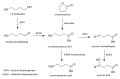 GHB metabolic pathway