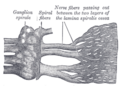 Thumbnail for version as of 17:28, 18 May 2026