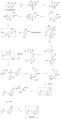 Melatonin mechanism