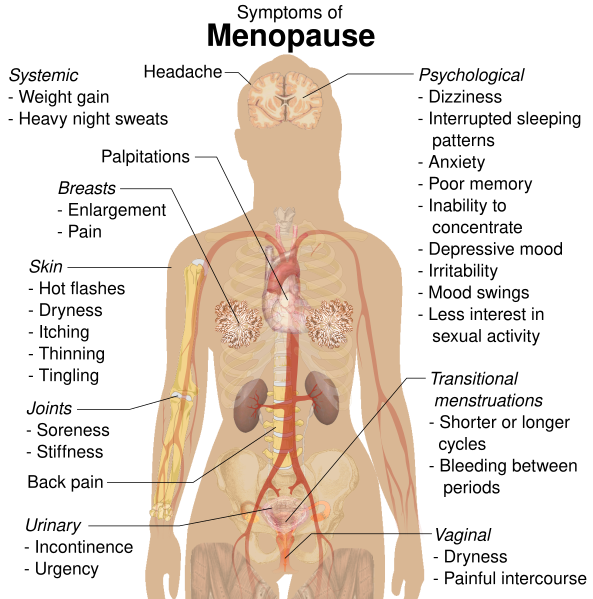Symptoms of menopause (vector).svg