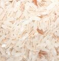 Oryza glaberrima