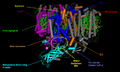 Photosystem II structure