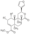 Salvinorin C, D, E, F, G, and H