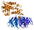 Shiga toxin (Stx) PDB 1r4q