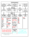 DNA Damage, Repair, Alteration of Repair in Cancer