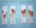 PLDH Malaria Antibodies