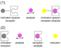 Host–guest chemistry