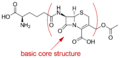 Discovery and development of cephalosporins