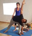 Logo of the International Therapeutic Yoga Federation.