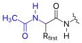 N-terminal acetylation