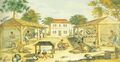 African_Americans
