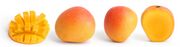 Mango cross sections