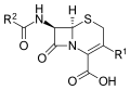 Cephalosporin core structure