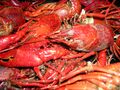 Louisiana crawfish