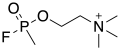 MFPCh Structure