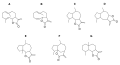 Sesquiterpenlactone Grundstrukturen