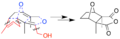 Biosynthesis pathway of Cantharidin