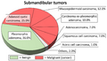 Relative incidence of submandibular tumors.