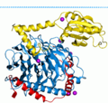 Structure of a G protein
