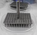 Agar_plate