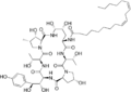 Echinocandin B structure