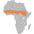 Meningococcal Meningitis Range