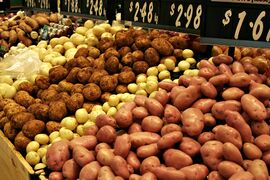 potatos (Solanum tuberosum)