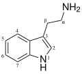 Substituted tryptamine