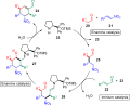 Cascade reaction