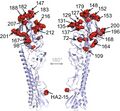 Influenza A virus subtype H9N2