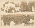 Kahun Papyrus
