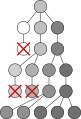 Mutation and selection diagram