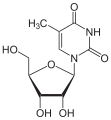 Nucleoside
